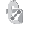 sociedade brasileira de cirurgia cardiovascular