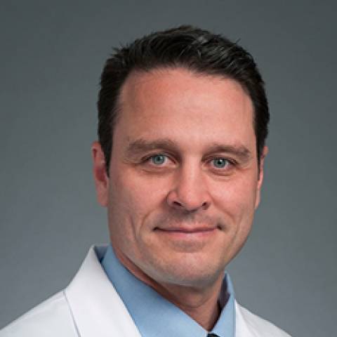 api-bioimage-benjamin-starnes